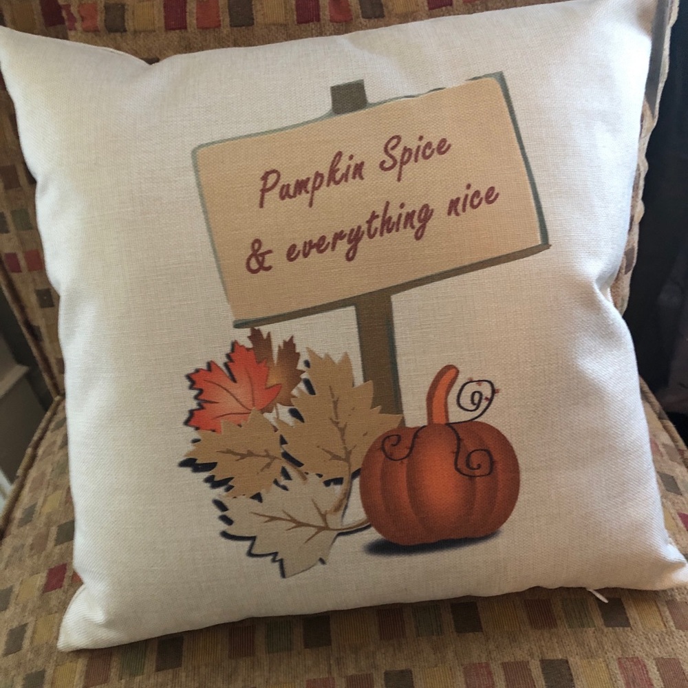 Pumpkin Spice pillow cover only
